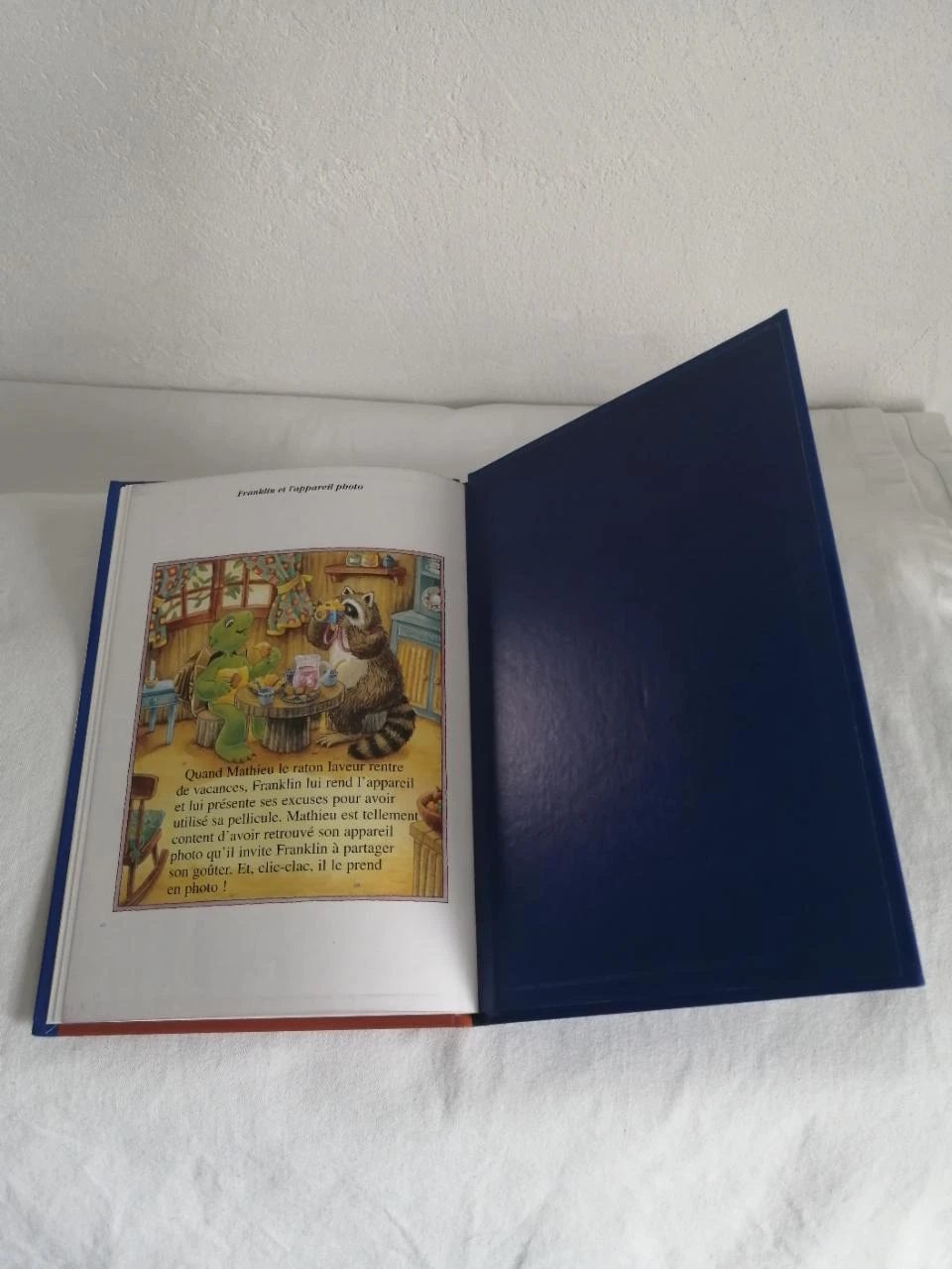 livro infantil - franklin e a máquina fotográfica – photo 6